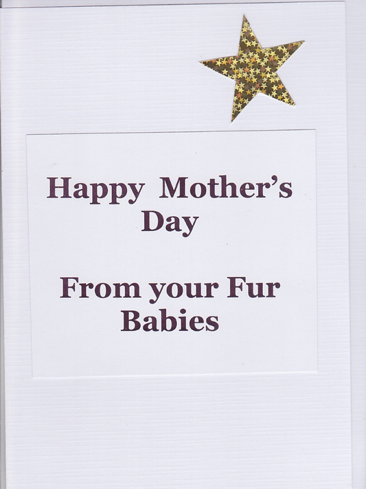 Mother's Day Foil Star Fur Mums Cards